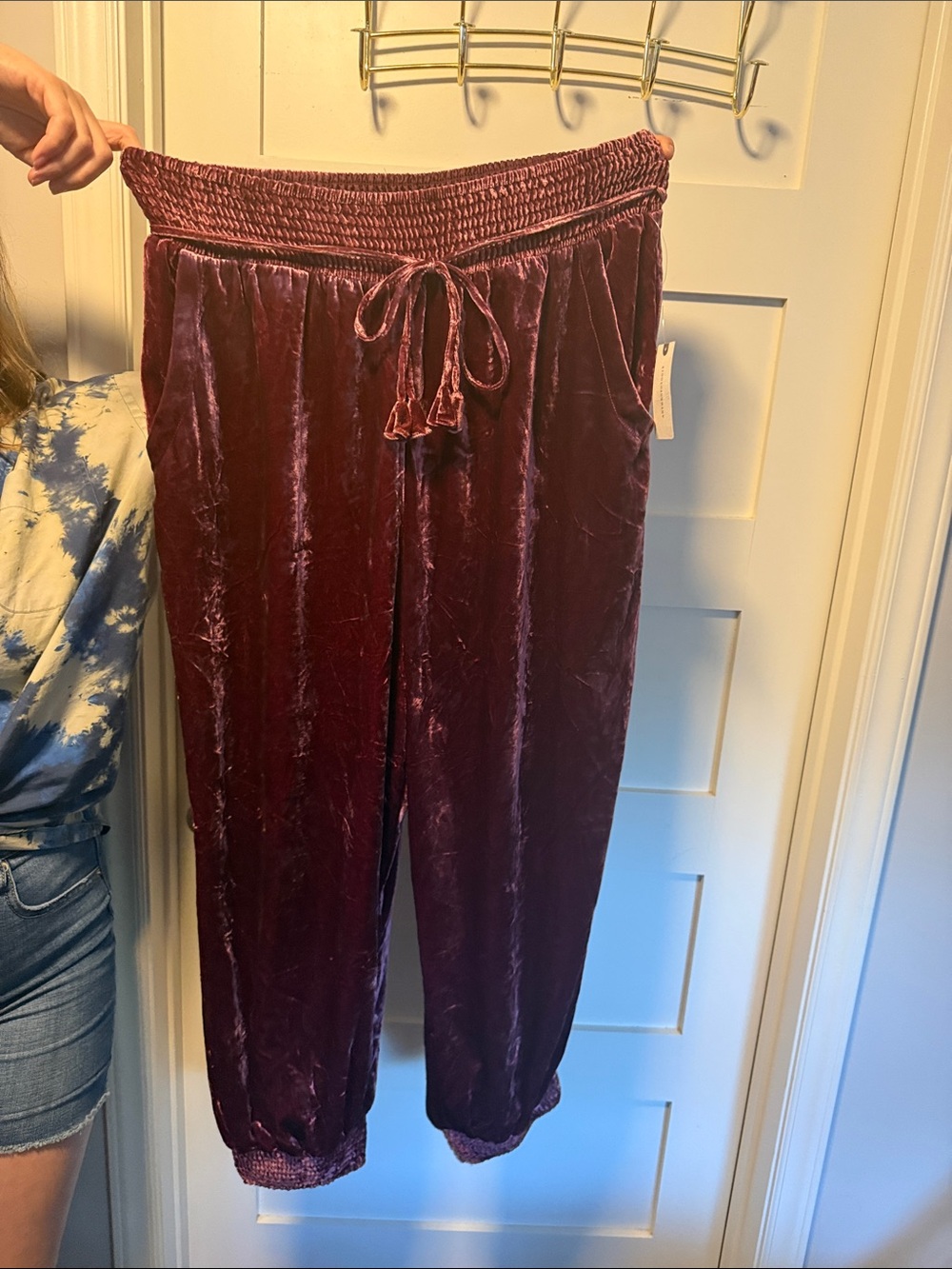 Anthropologie Velvet Drawstring Jogger Pants - Burgundy NWT